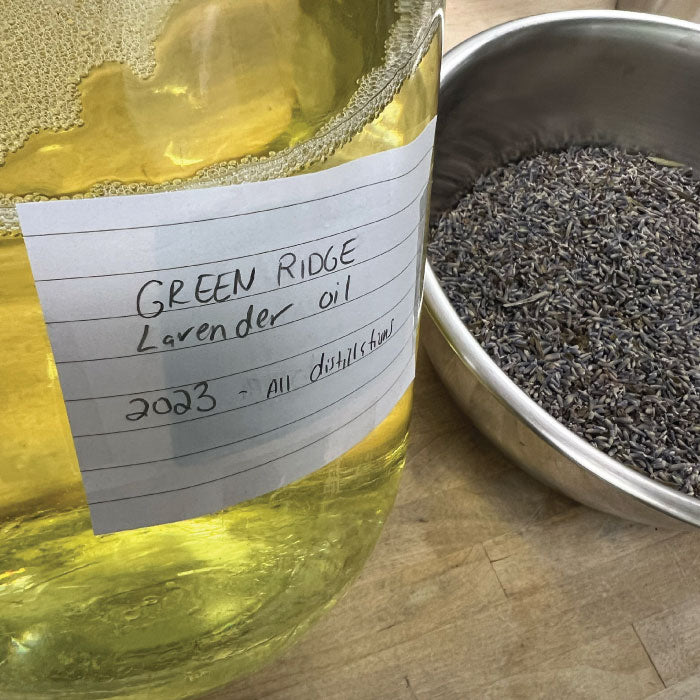 Lavender Soap Bar