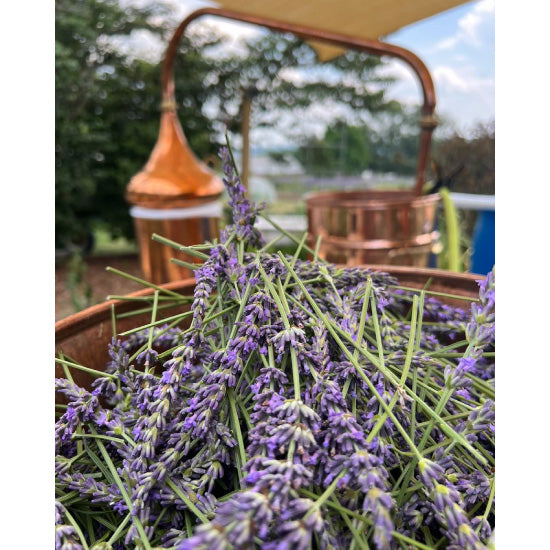 Lavender Soap Bar